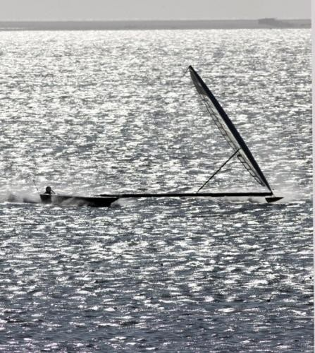 sailrocket sailrocket